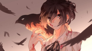 Woman bird bleeding wings shameimaru - vanita free wallpaper