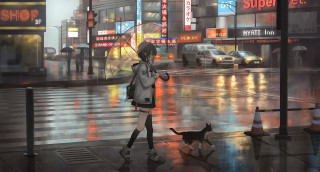 Woman dog rainy city umbrella - the sidewalk free wallpaper