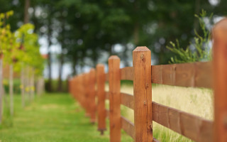 Fence grass trees blurry bokeh - blunt border free wallpaper