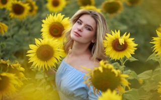 Sunflower field woman portrait blurry - a field of sunflowers free wallpaper