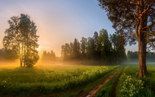 Dirt road foggy sunset autumn - a dirt road in a field free wallpaper