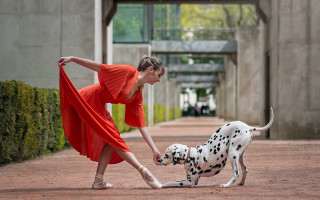 Woman red dress dalmatian outdoor - a dalmatian dog free wallpaper