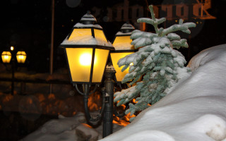 Street light snow tree building - snow next free wallpaper