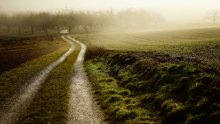Dirt road truck foggy country - a dirt road free wallpaper