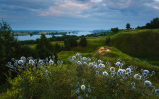 Dandelion field lake mountains cloudy - beautiful free wallpaper for desktop