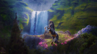 Woman horse waterfall fantasy matte - anato finnstark free wallpaper
