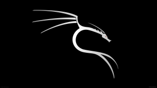 White dragon black background image - the right side of the image free wallpaper