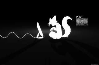 Black white cat light pure - purism free wallpaper for desktop