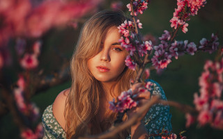 Elina karimova portrait cherry blossoms - branch free wallpaper