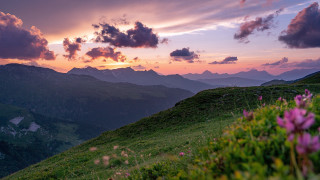 Grassy hill flower sunset clouds - a grassy hill free wallpaper