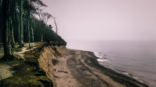 Sandy beach cliff trees water - a sandy beach free wallpaper