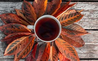 Tea leaf decoration wood table - a leafy plant free wallpaper
