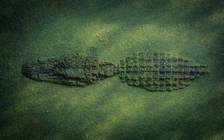 Grass shoes land art surreal - a surrealist sculpture free wallpaper