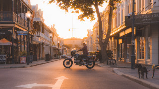 Man motorcycle dog street autumn - a man riding free wallpaper