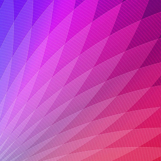 Purple pink background lines curves - a pattern of lines free wallpaper