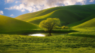 Tree pond mountain clouds landscape - beautiful landscape free wallpaper