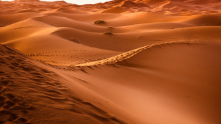 Desert trees mountain sky sunset - a mountain in the distance free wallpaper