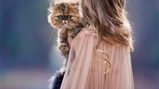Woman holding cat green eyes - florianne becker free wallpaper