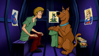 Cartoon man dog room pictures - dean roger free wallpaper