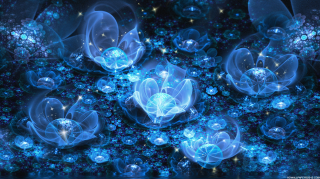 Blue flowers bubbles dark background - blue flower free wallpaper for desktop