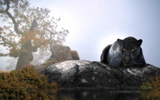 Black panther rock water tree - a black panther free wallpaper