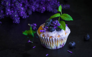 Blueberry cupcake purple flower still - neofauvism free wallpaper
