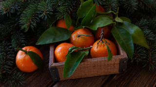 Oranges leaves pinecones stilllife outdoors - still free wallpaper