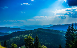 Mountain sunbeam trees forest lake - scenic free wallpaper