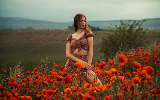 Woman polka dot bikini field - a field of flowers free wallpaper