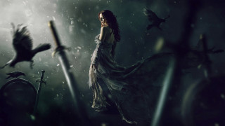 Woman dress rain sword bird - a sword and a bird free wallpaper