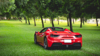 Red sports car nature field - green grass and trees free wallpaper