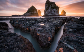 Rocky beach stream sunset leaves - a rocky beach free wallpaper