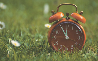 Orange alarmclock grass daisies nature - les automatiste free wallpaper