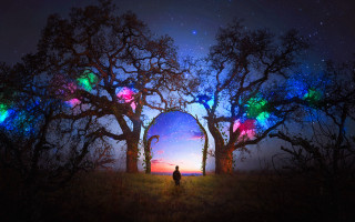 Magical realism field tree colorful - a colorful light free wallpaper
