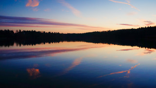 Sunset lake reflection trees cityscape - impressionist free wallpaper