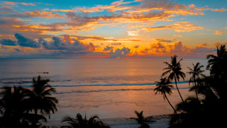 Sunset ocean palm trees boat - palm tree and a boat free wallpaper