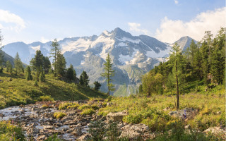 Mountain stream forest grass rocks - a grassy area free wallpaper