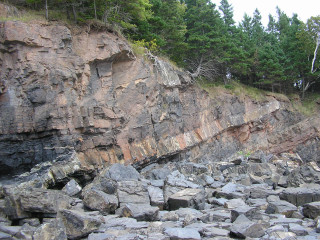 Rocky beach cliff trees person - a rocky beach free wallpaper