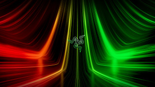 Green red lizard background computer - back side free wallpaper