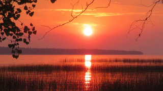 Sunset lake tree branch horizon - a sunset over a lake free wallpaper
