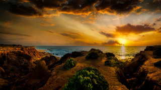Sunset ocean path rocks plants - the rock free wallpaper
