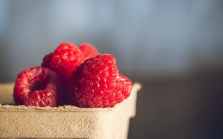Raspberries box table blurry background - evaline ness free wallpaper for desktop