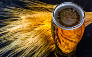 Beer glass yellow straw patterned - cao zhibai free wallpaper
