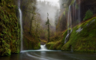 Waterfall forest mossy rocks stream 3 - mossy rock and trees free wallpaper