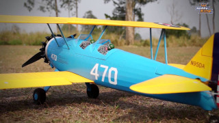 Small blue yellow airplane grass - free bird wallpaper