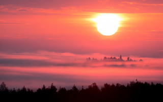 Sunset foggy forest distant tower - orange sky free wallpaper