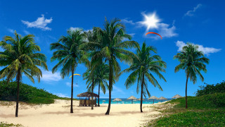 Beach palm trees hut sand - free 3d render wallpaper
