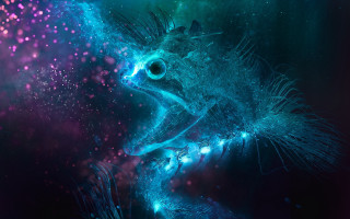 Blue eye fish purple bubbles - bioluminescence free wallpaper