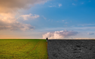 Lone person field cloud sunset - adobe lightroom free wallpaper