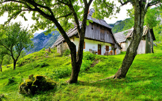 Small house hill tree rock 2 - a small house free wallpaper